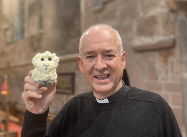 Youngsters set to search for Shifnal sheep
