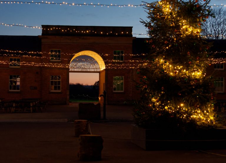 Visitors to Attingham Park will experience an extra sprinkling of Christmas magic as the festive period gets underway. Photo: National Trust/ Jayne Gough.