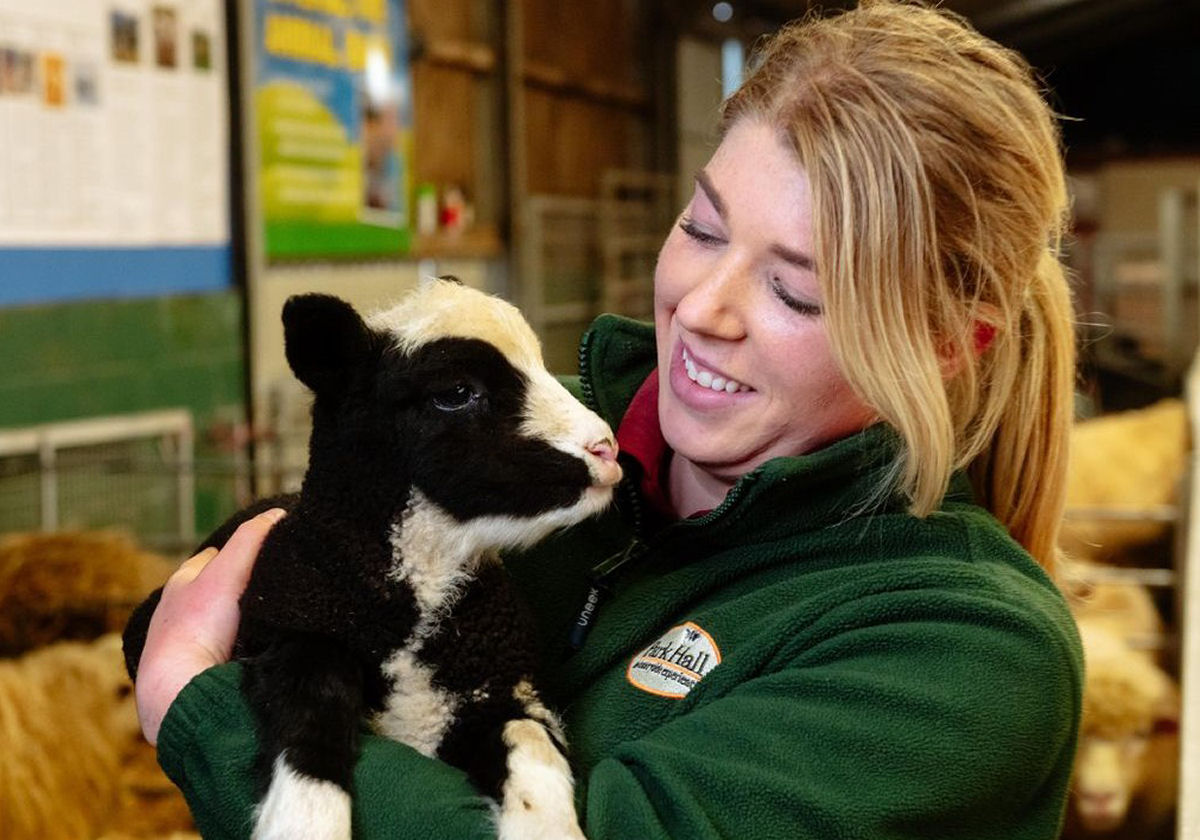 The farm team will be on hand to educate youngsters on the new arrivals.