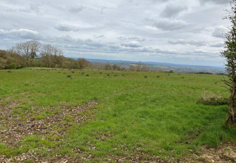 The new Coronation Wood will be created on land at Picklescott. Photo: Forestry England/Crown Copyright.