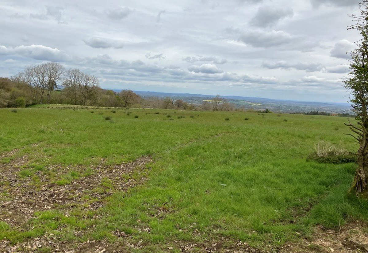 The new Coronation Wood will be created on land at Picklescott. Photo: Forestry England/Crown Copyright.