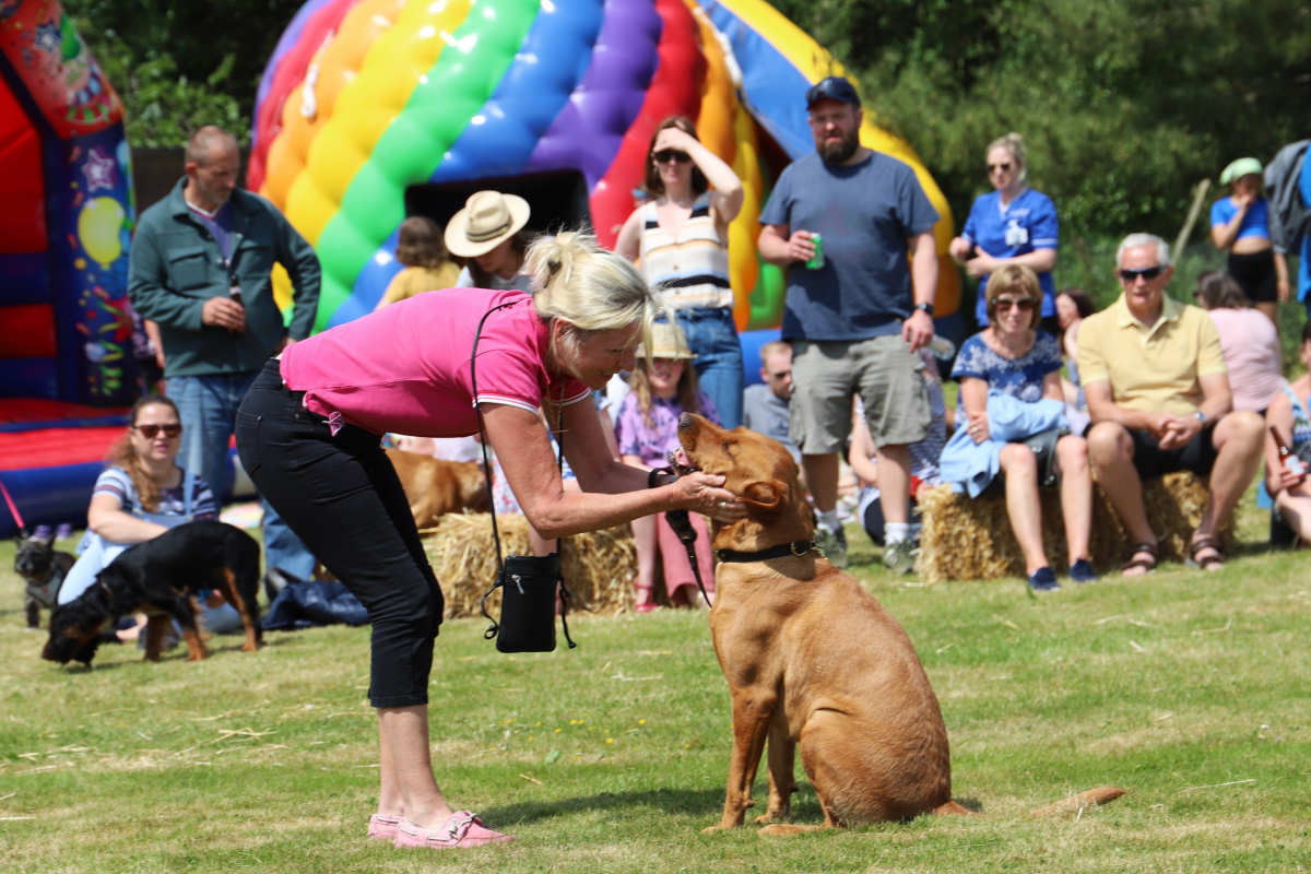 The College is excited to be hosting its second ever Dog Show
