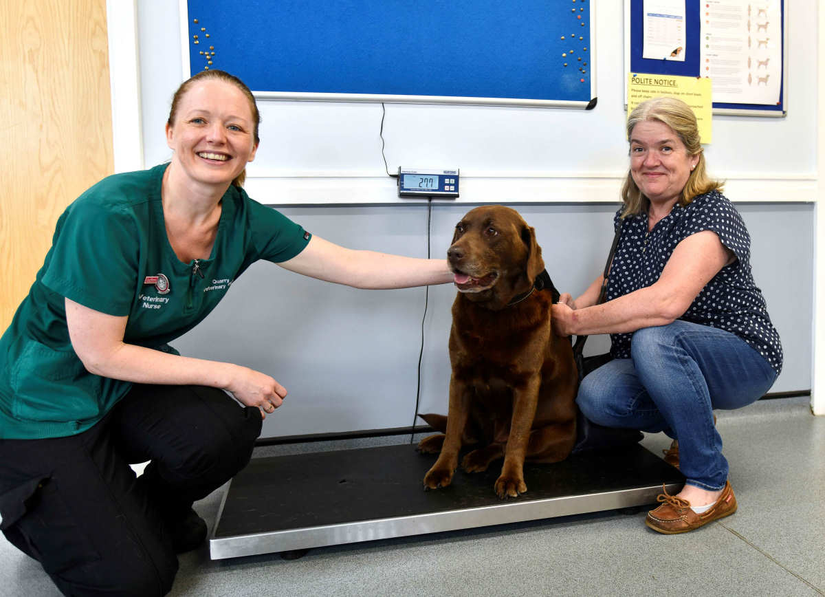 Bailey with veterinary nurse Michelle Street and owner Karen Mason