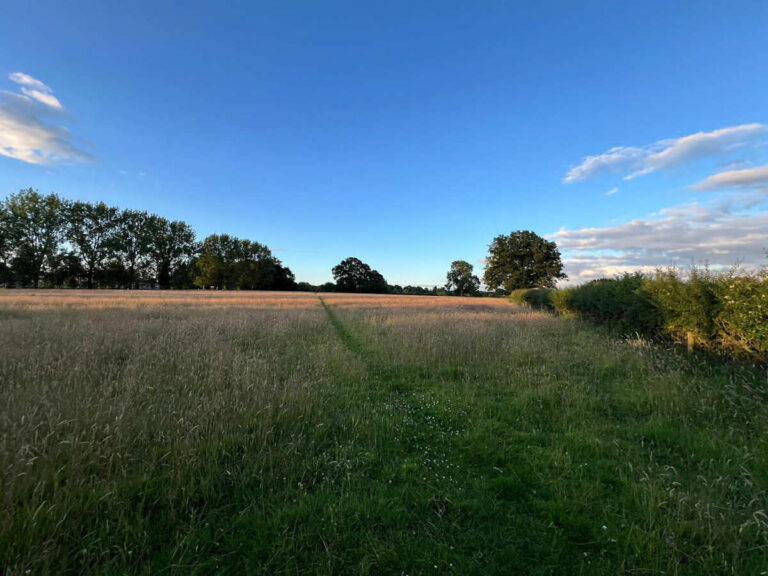 Greenbelt land on which new houses could be built