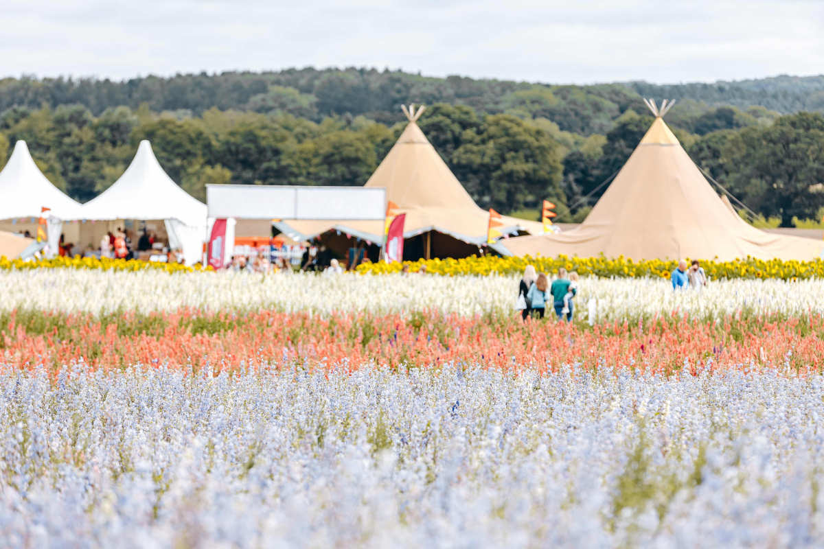 Shropshire Petals flower field will be open daily from August 9th – 18th