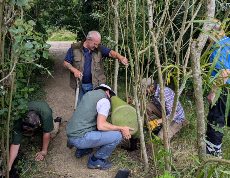 Simmonds Transport, based at Stafford Park and High Ercall, has teamed up with the volunteer group Friends of Telford Town Park