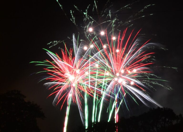 Fireworks in Cae Glas Park. Photo: Graham Mitchell