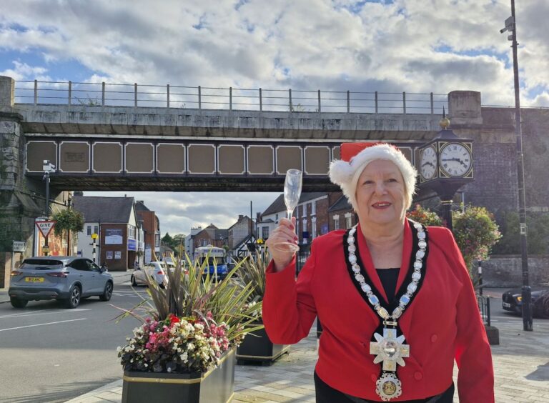 Mayor Ellen Moore getting ready for the light switch on