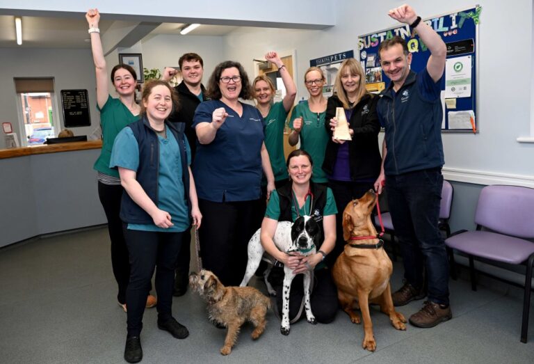 Team members from Quarry Vets celebrate their Practice of the Year Award
