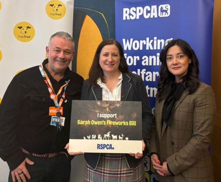 Shrewsbury MP Julia Buckley has backed the new Fireworks Bill which is set for a second reading