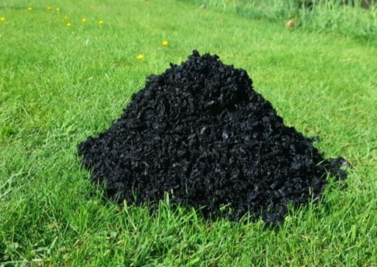Biochar. Photo: Shropshire Council