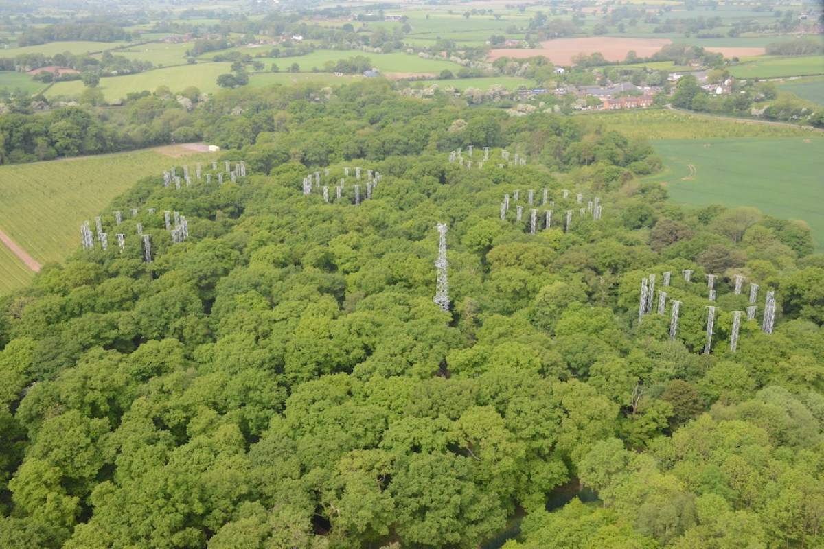 The BIFoR FACE experiment facility located in a Staffordshire Woodland. Photo: University of Birmingham