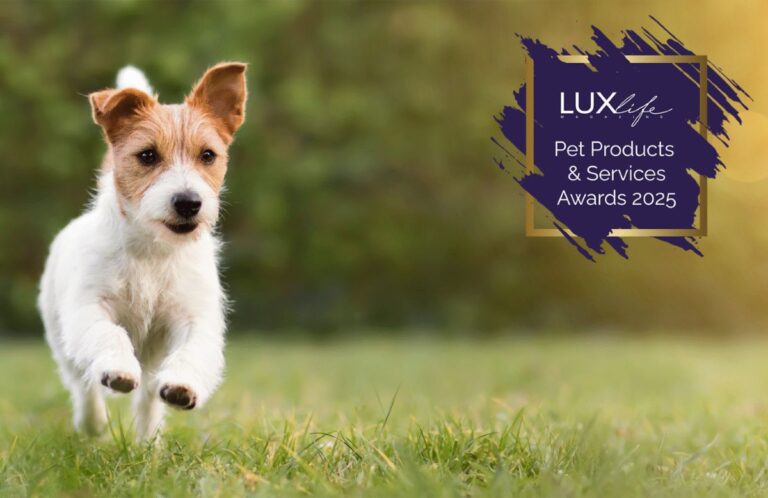 Nose to Trail is a pet behaviour service run by multi award-winning clinical animal behaviourist Rachel Rodgers