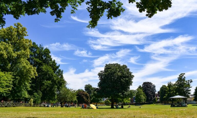 Urgent work to maintain or remove diseased trees in Cae Glas Park is due to start today. Photo: Oswestry Town Council