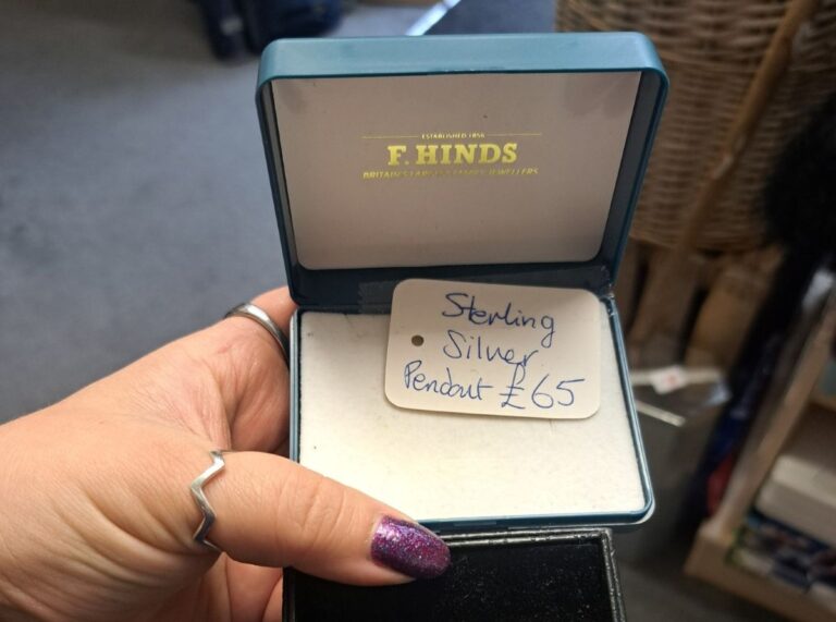 One of the items of jewellery stolen was a sterling silver pendant. Photo: Cuan Wildlife Rescue