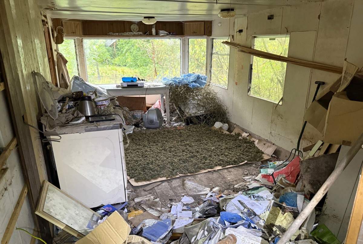 Cannabis was found by police inside a caravan during the warrant. Photo West Mercia Police