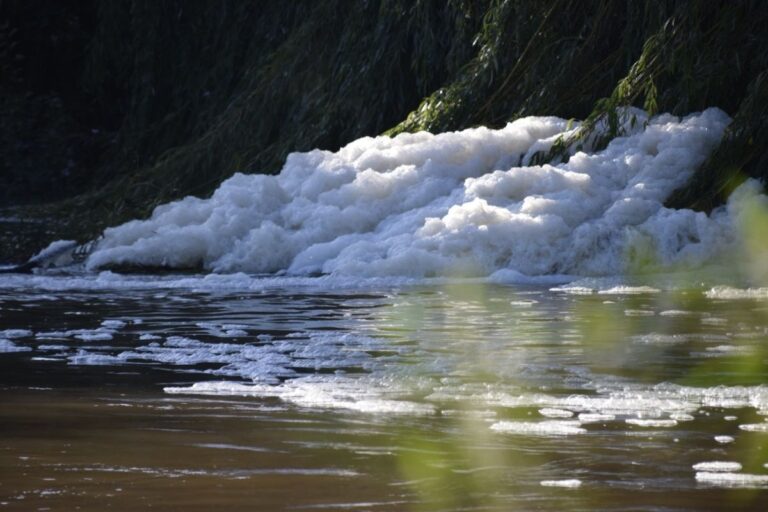 Large clumps of foam are floating on the River Severn in Shrewsbury. Photo: Up Sewage Creek