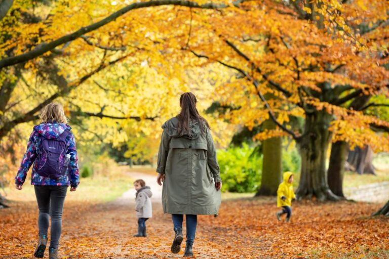Escape into autumn for October half term. Photo: National Trust Images / Chris Lacey