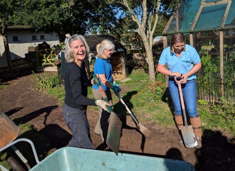Previously, volunteers have come together to build compost toilets and solar showers as well as planting trees