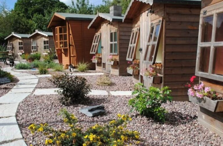 Shropshire Cat Rescue