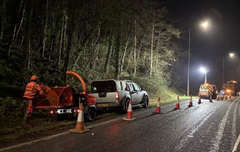Major tree clearance takes place on the A442. Photo: Telford & Wrekin Council