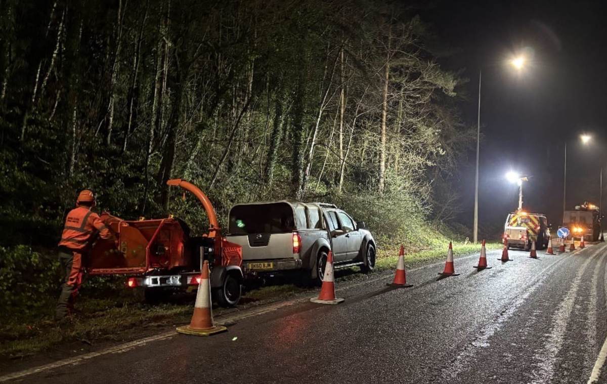 Major tree clearance takes place on the A442. Photo: Telford & Wrekin Council